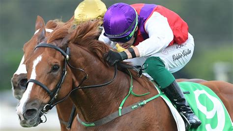 2024 Melbourne Cup .